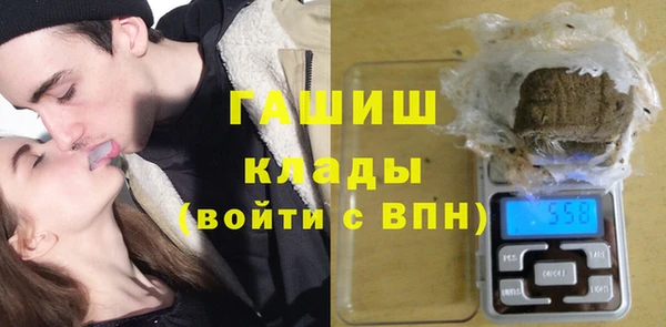 сатива Армянск