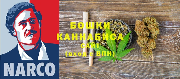 крисы Аркадак