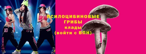 сатива Армянск