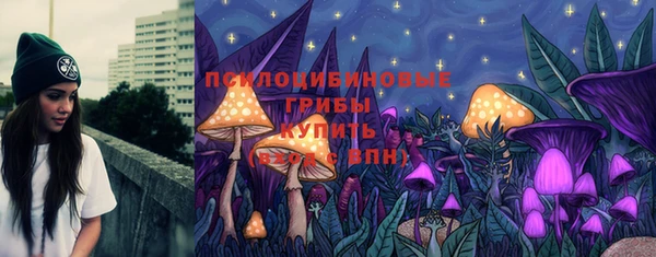 сатива Армянск