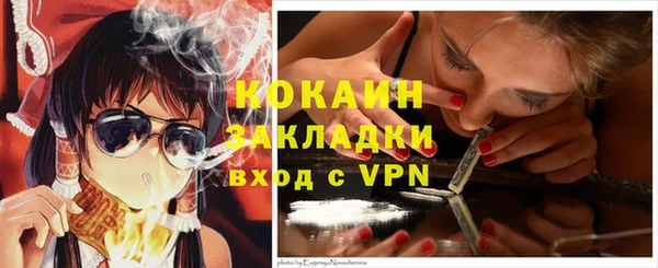 крисы Аркадак