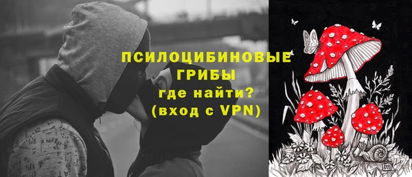 сатива Армянск