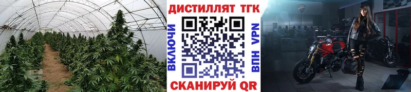 ТГК вейп с тгк  дарнет шоп  Партизанск 