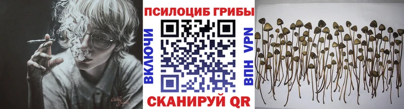 Галлюциногенные грибы мухоморы Партизанск